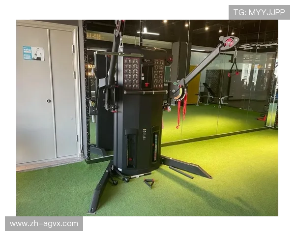 高端健身房标配英派斯力量训练器材深度解析